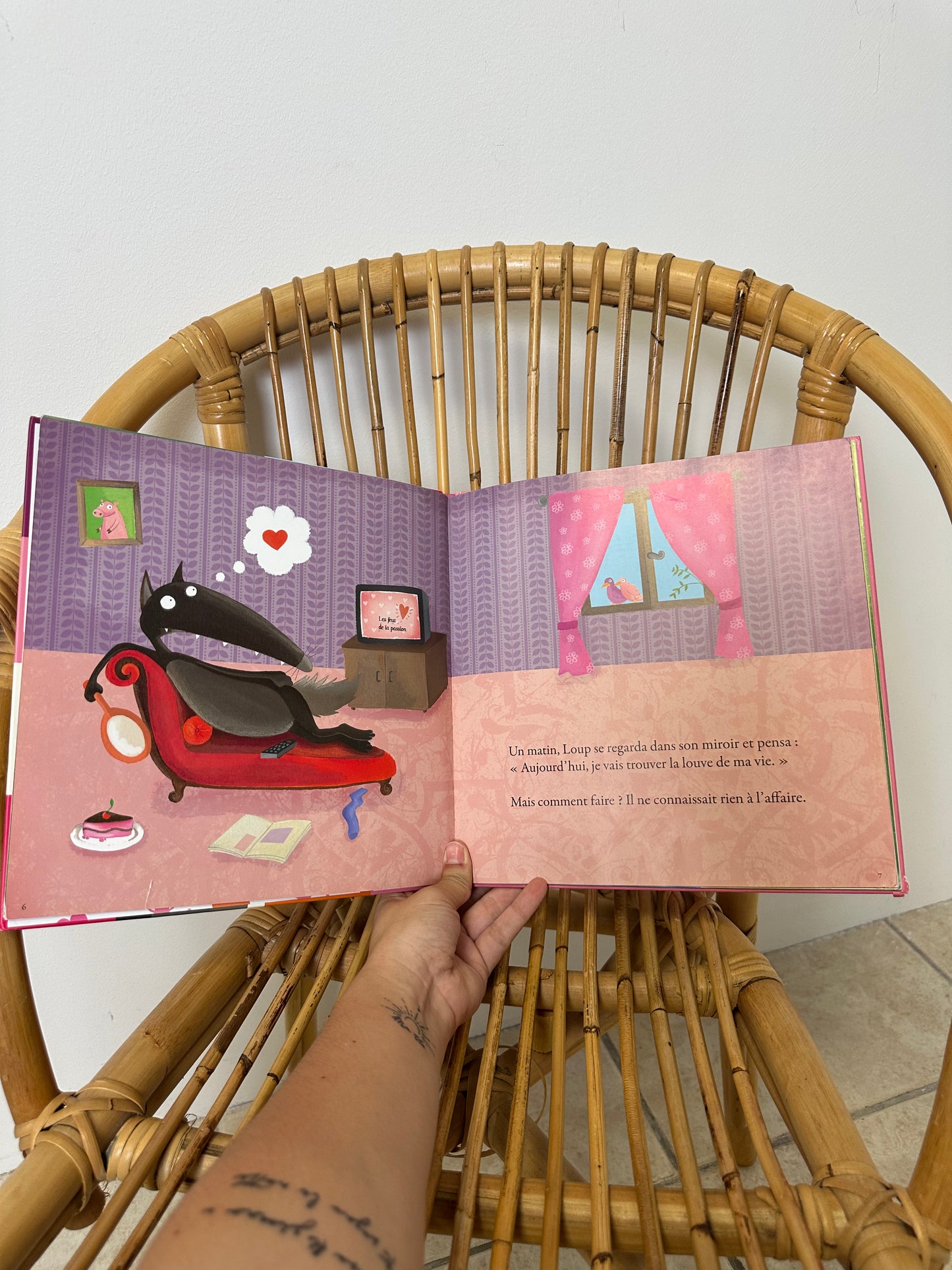 Livre le loup qui cherche une amoureuse