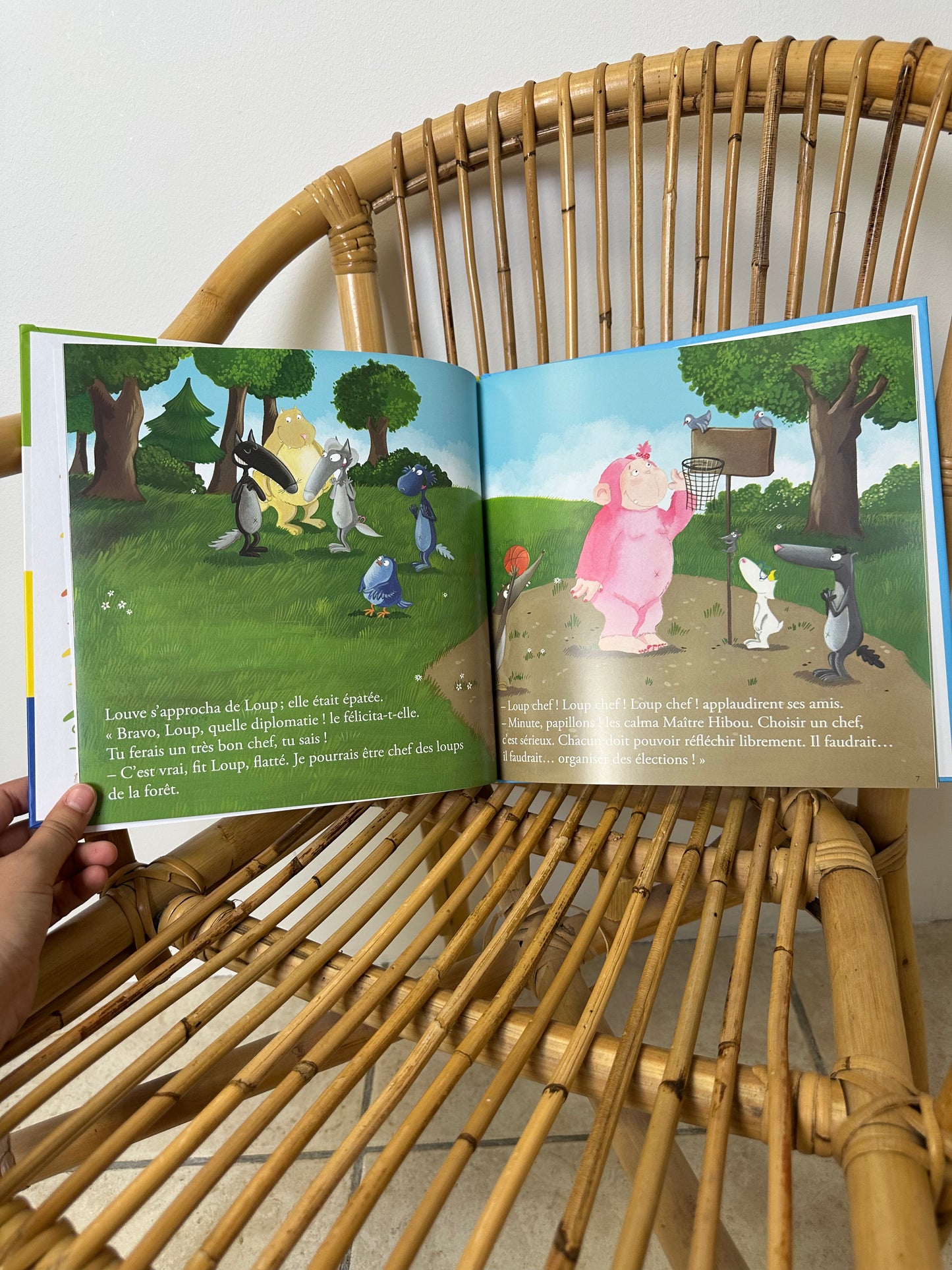Livre le loup qui devenait chef de la foret