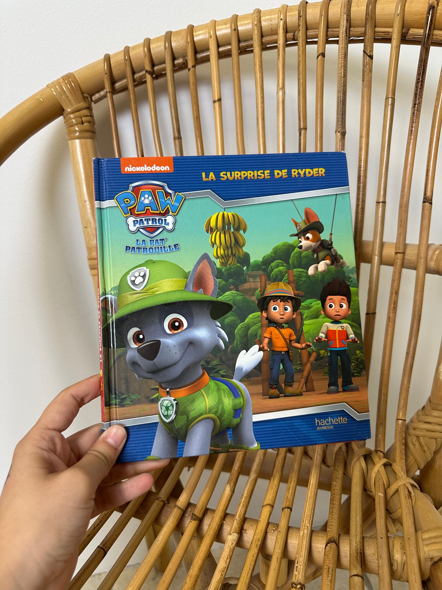 Livre paw patrol la surprise de ryder