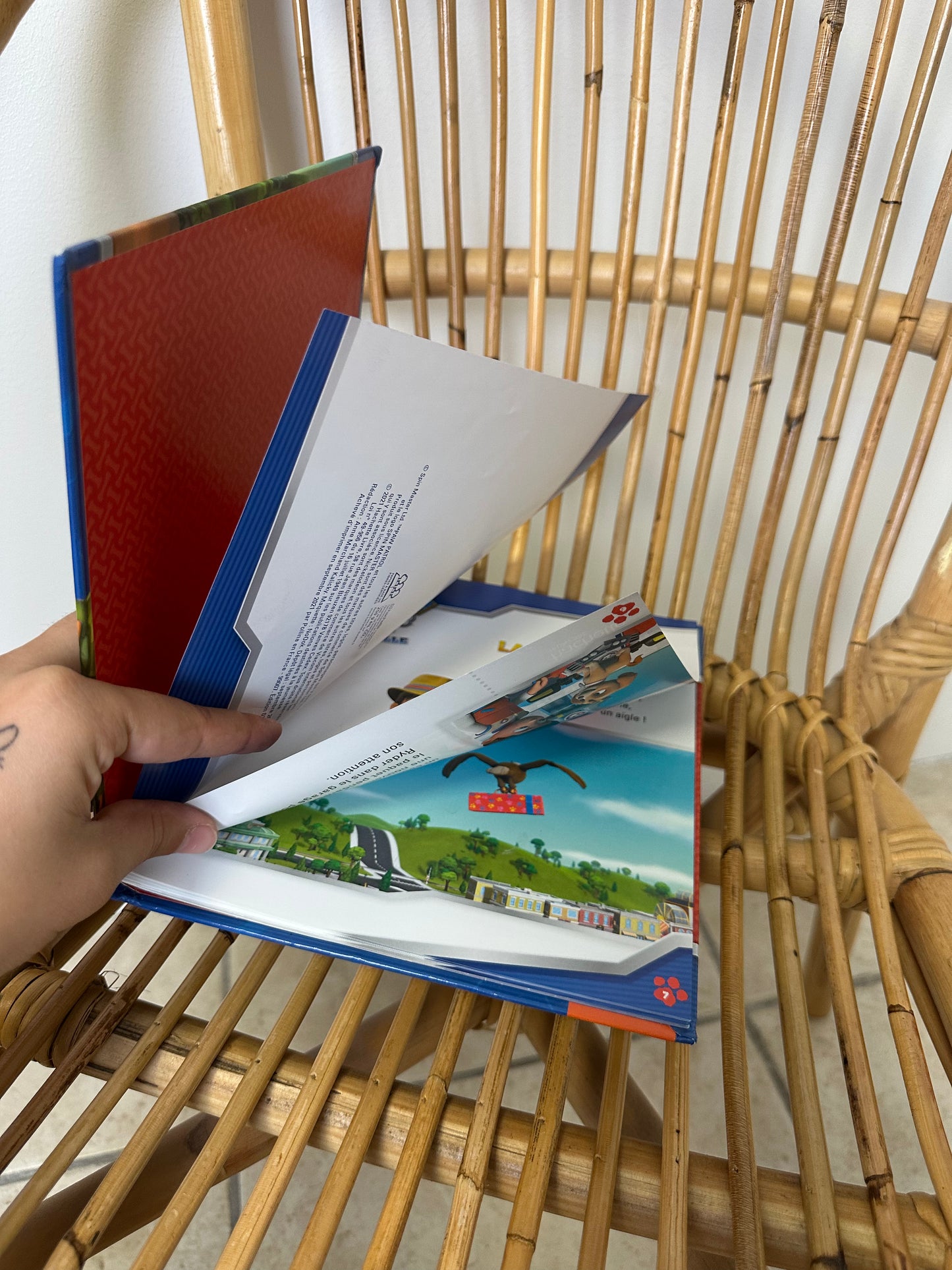 Livre paw patrol la surprise de ryder