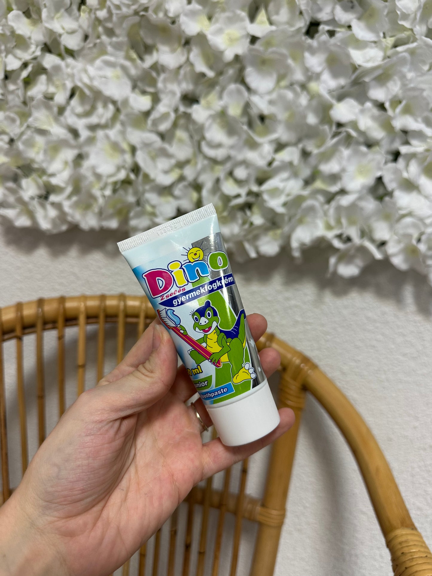 Dentifrice dinosaures