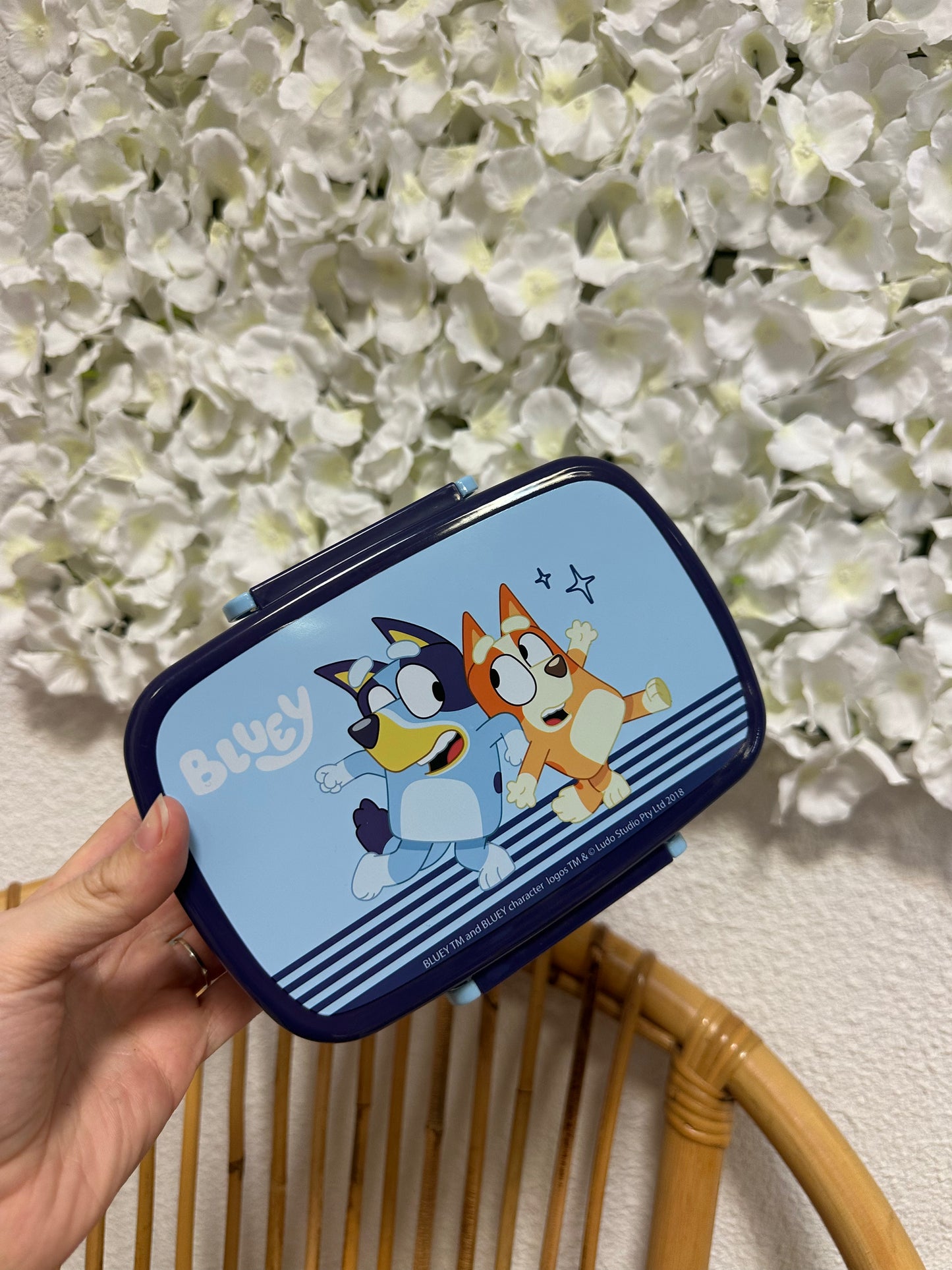 Boite à gouter Bluey