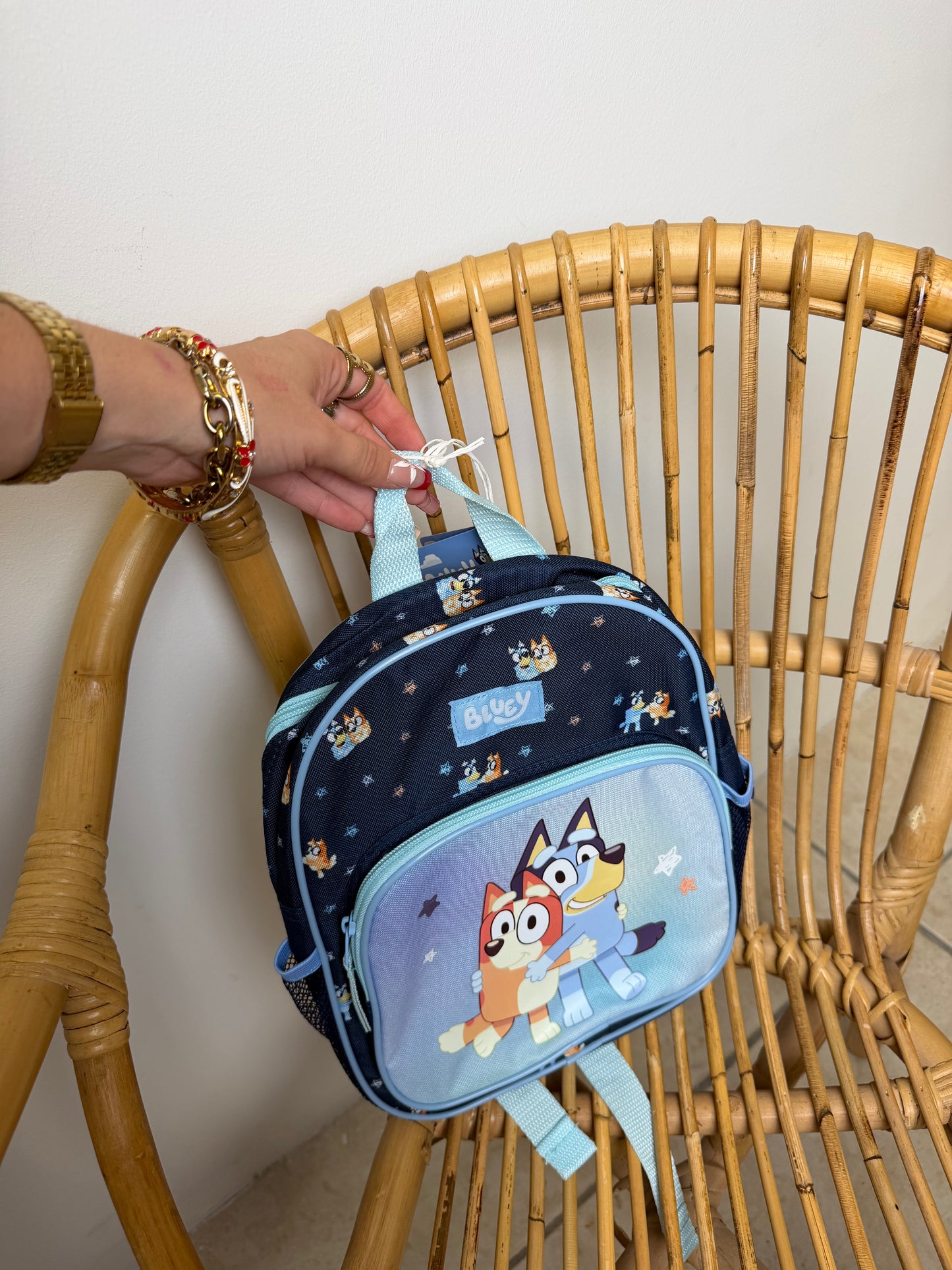 Sac Bluey
