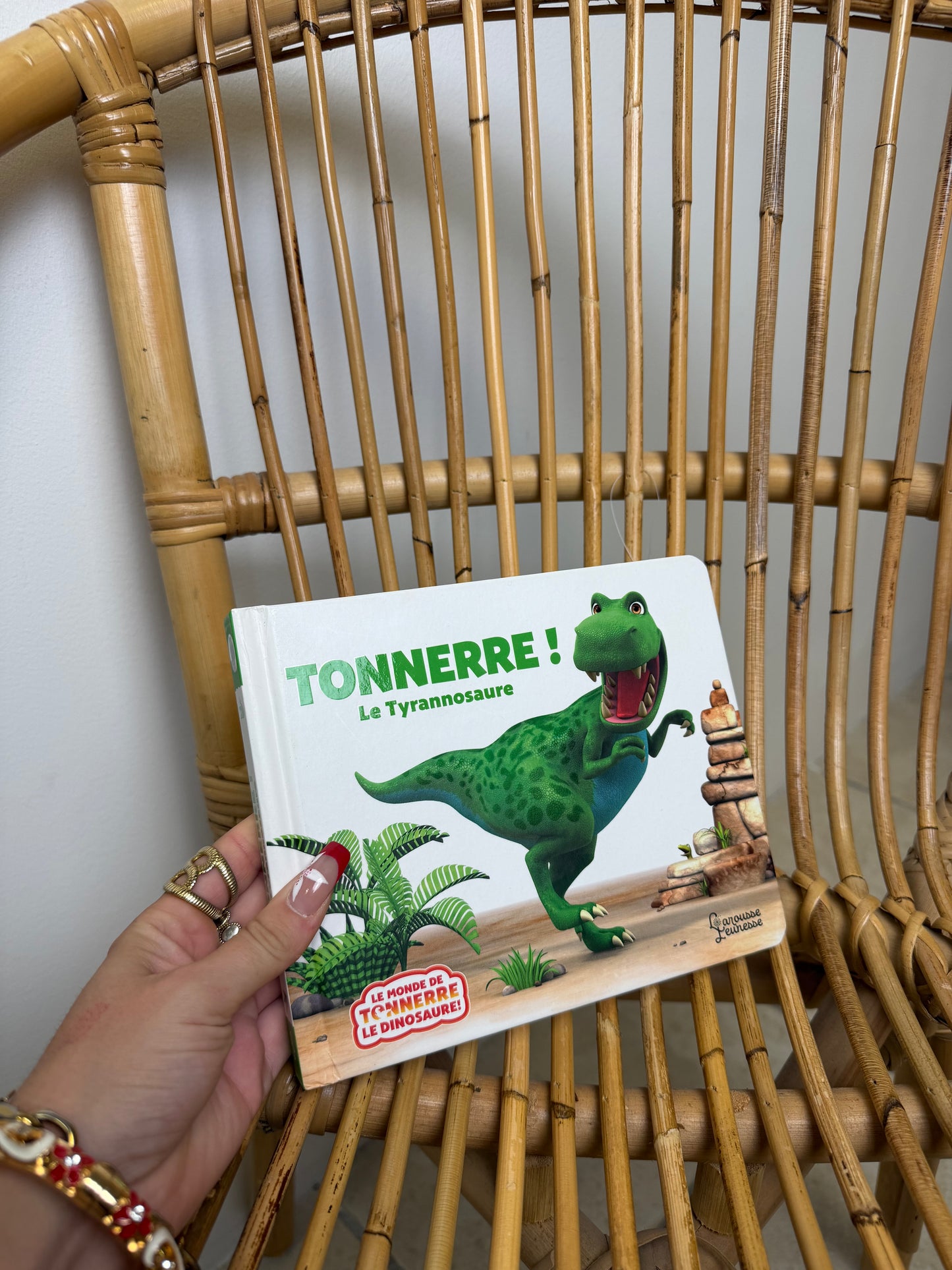 LIVRE DINO