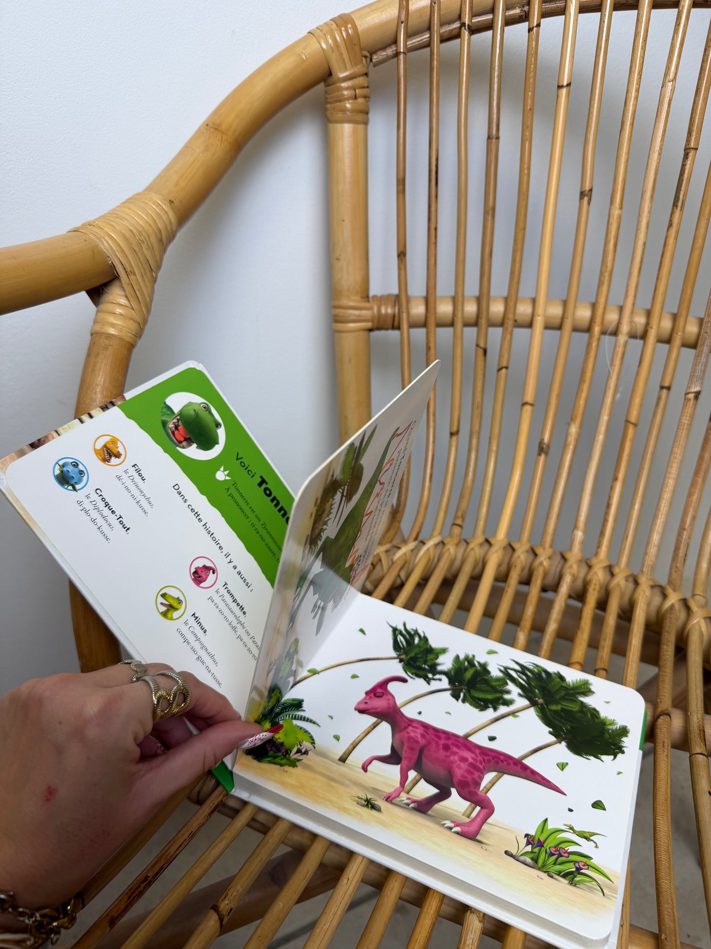 LIVRE DINO
