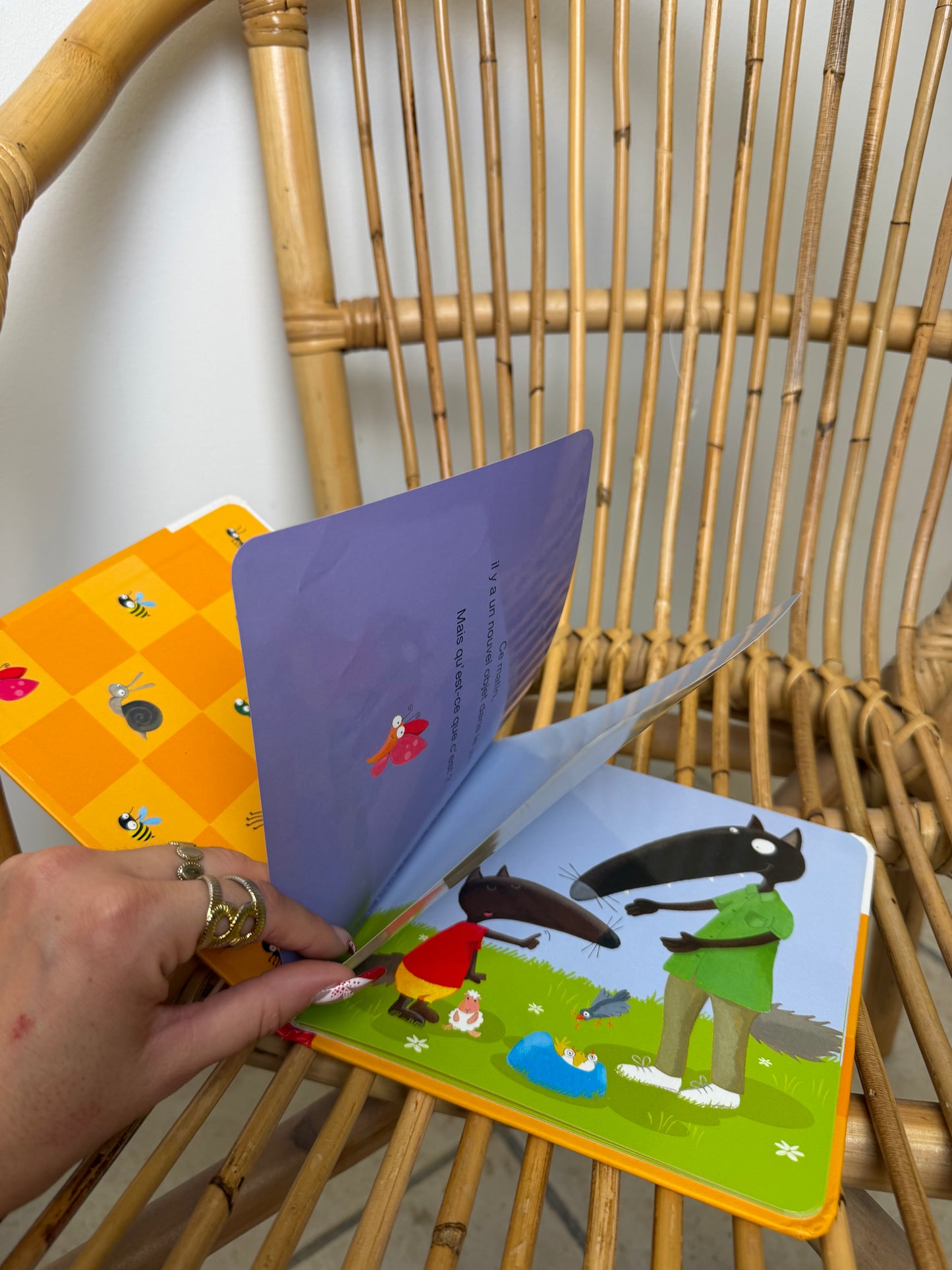 LIVRE PETIT LOUP SUR LE POT