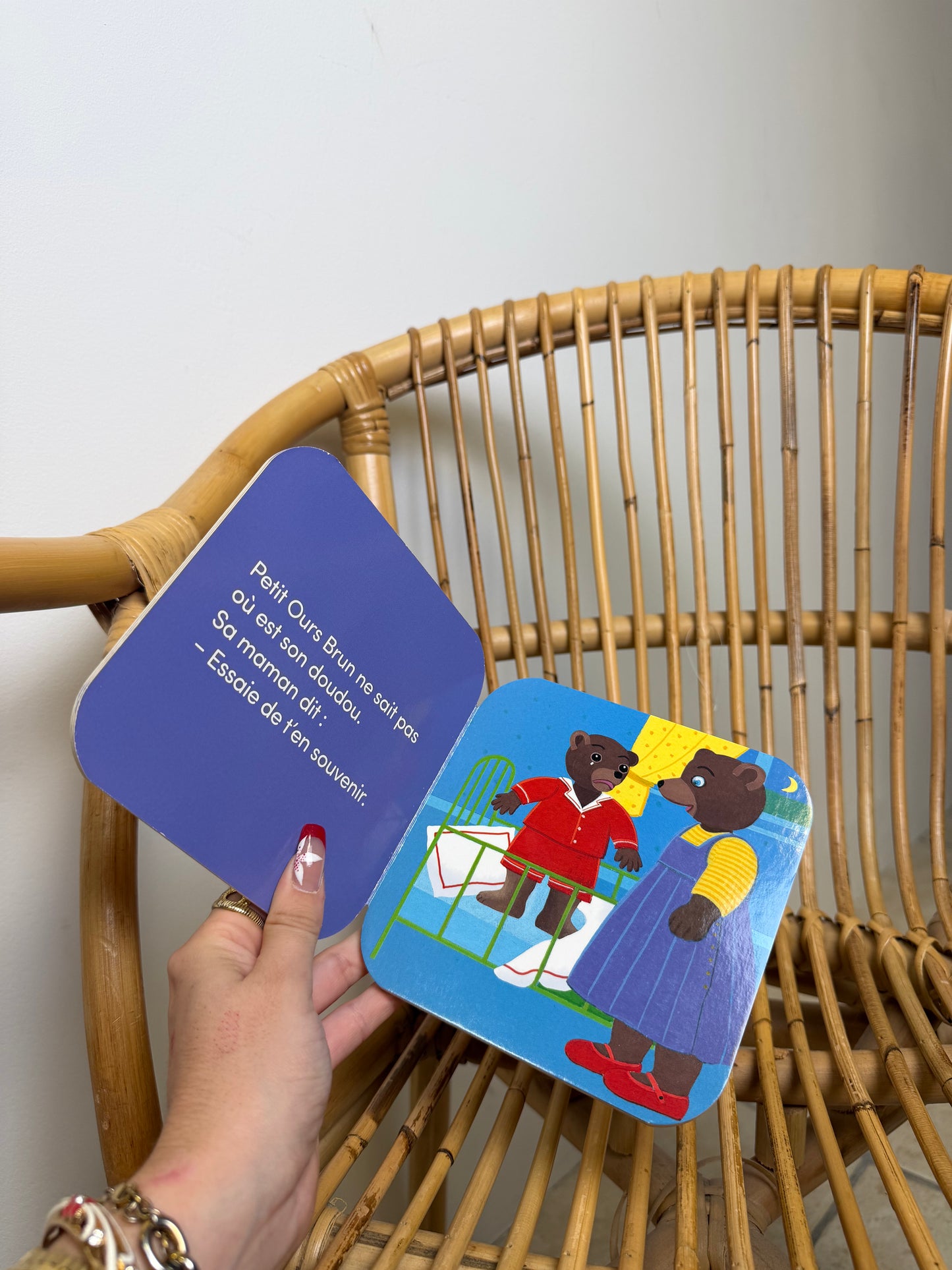 Livre Petit Ours Brun a perdu son doudou