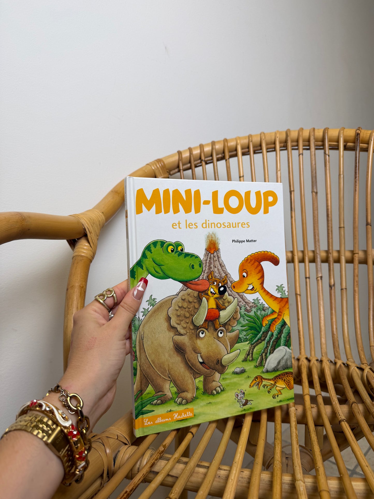 Livre Mini Loup et les dinosaures