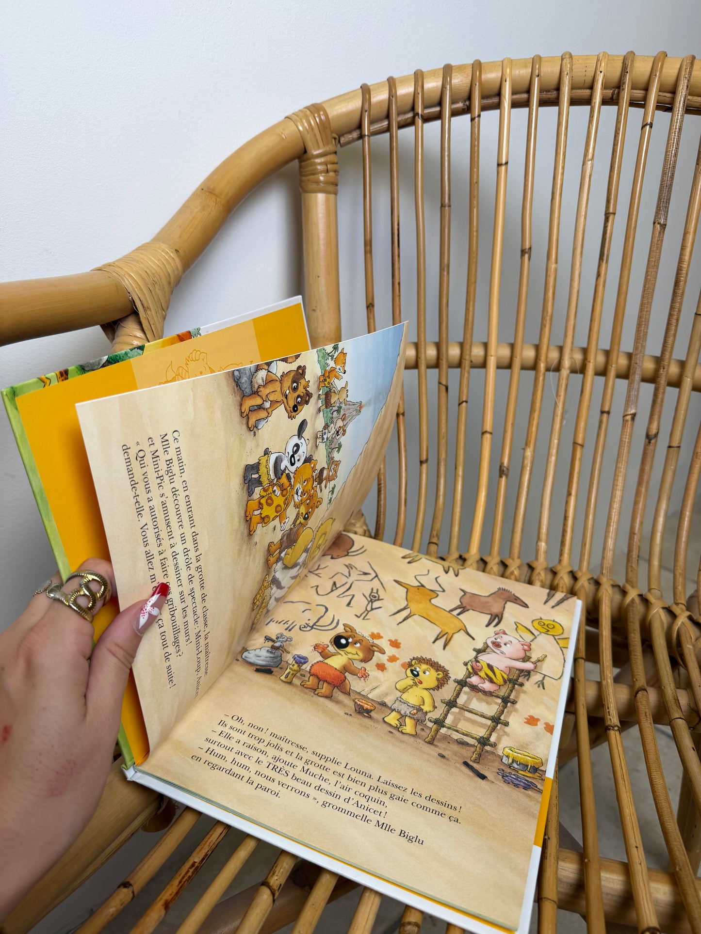 Livre Mini Loup et les dinosaures