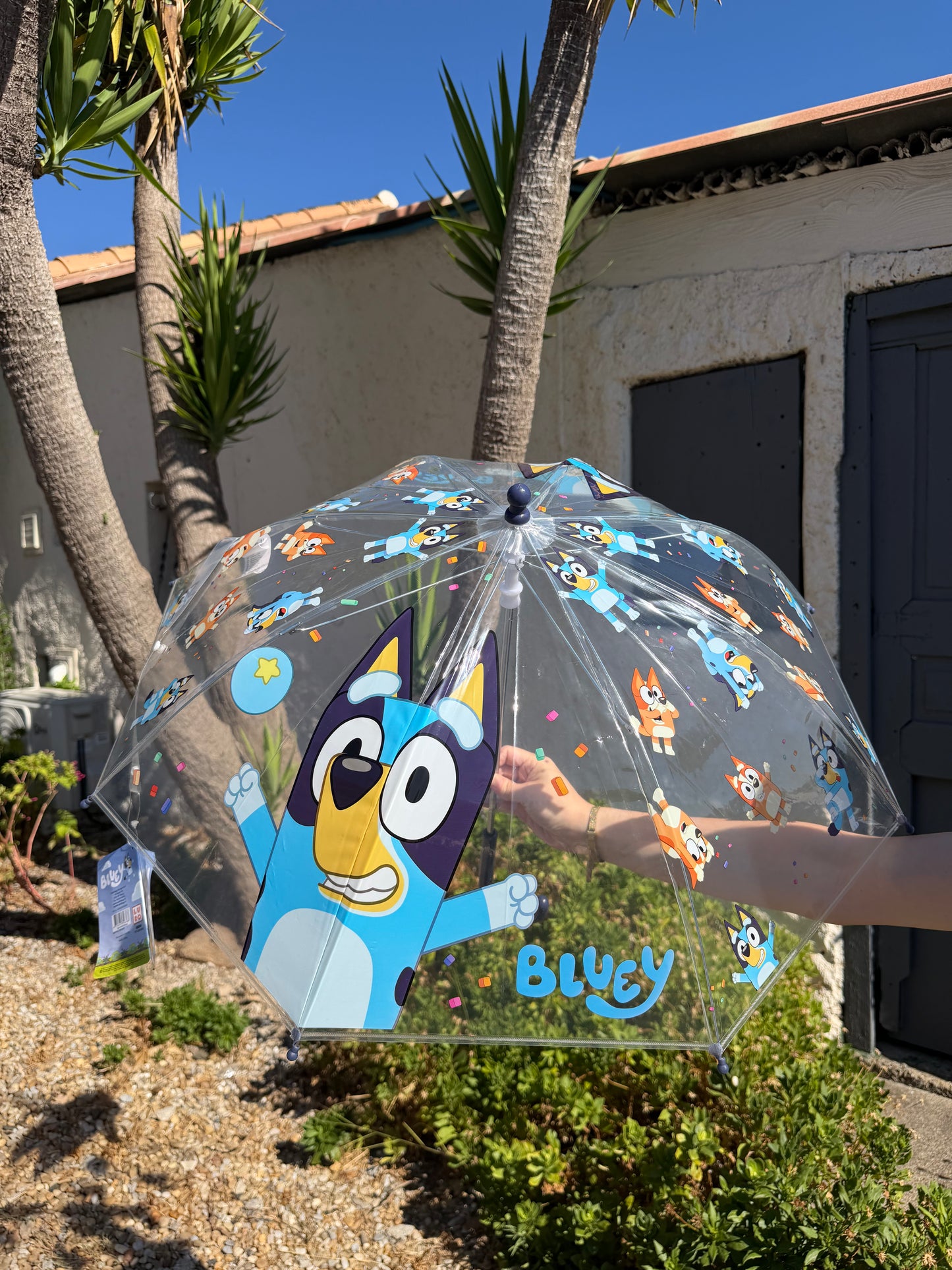 Parapluie Bluey