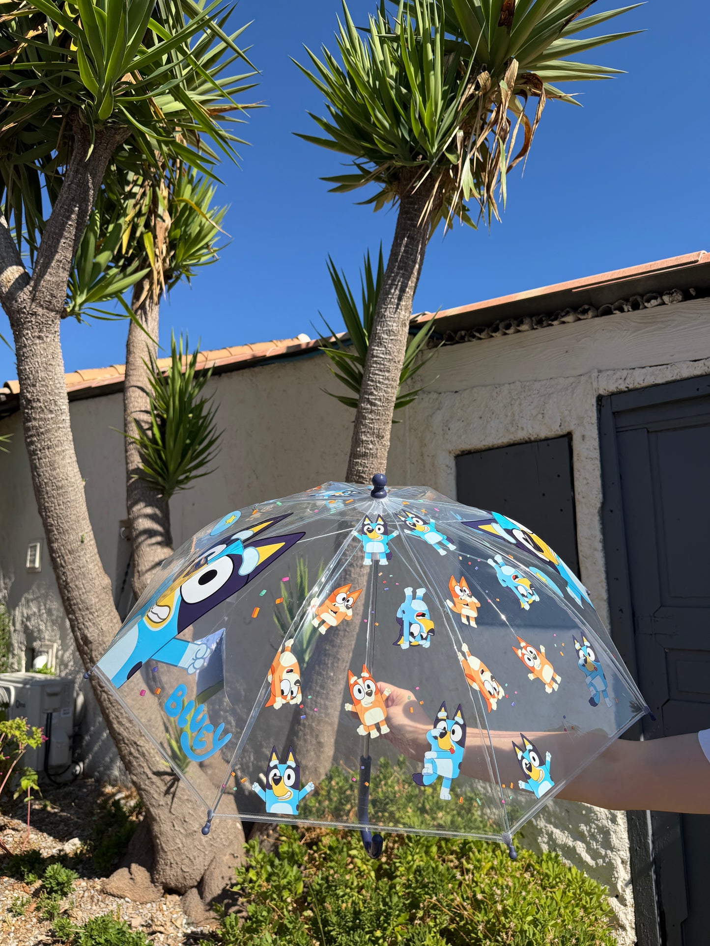 Parapluie Bluey